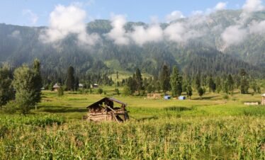 morning, kel, mountain-2669181.jpg